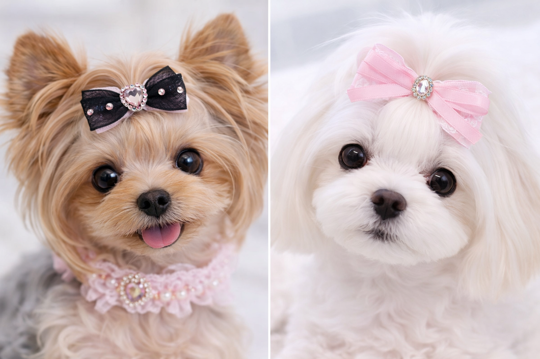 Why Handmade Pet Hair Clips Are the Perfect Grooming Accessory for Your Pet