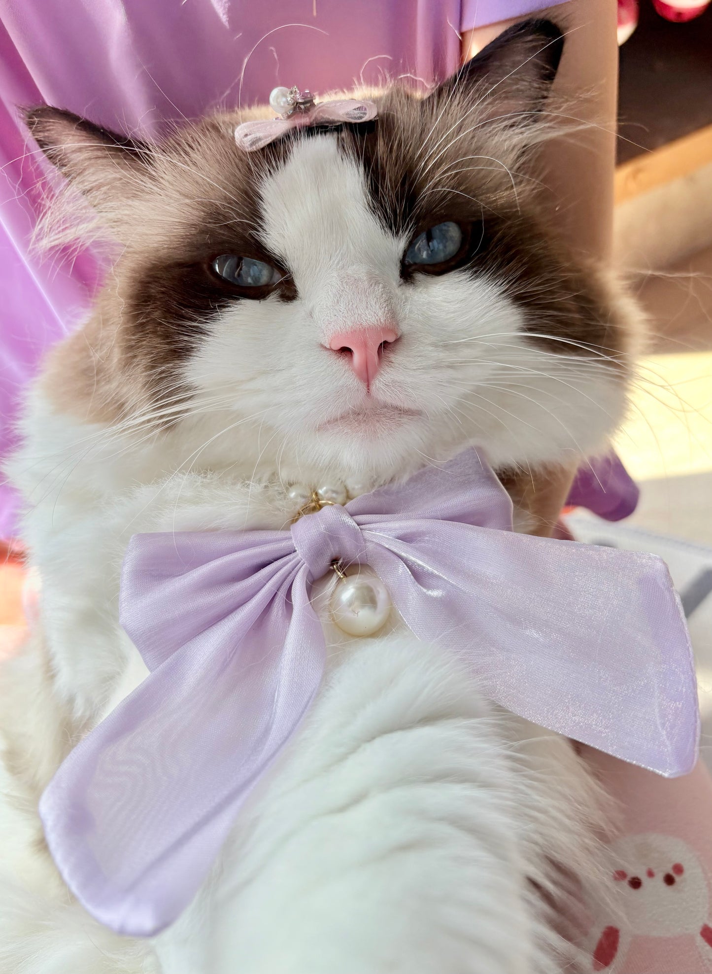 Elegant Pearl Pet Collar – Handmade Dog & Cat Necklace with Tulle Bow and Glass Pearl Beads