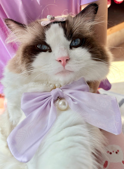 Elegant Pearl Pet Collar – Handmade Dog & Cat Necklace with Tulle Bow and Glass Pearl Beads