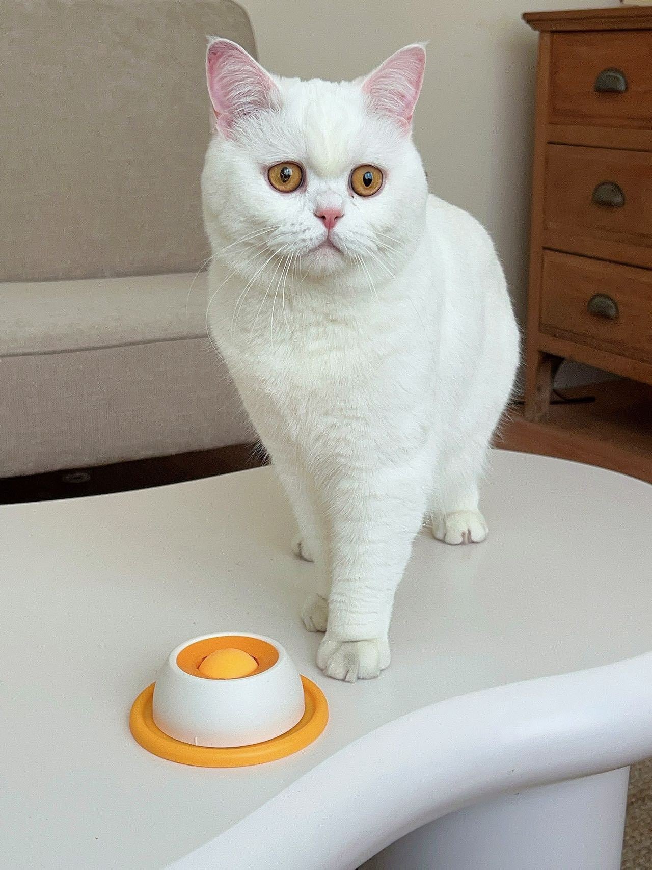 Slow Feeder Bowl for Cats & Dogs for Liquid Treats – Anti-Slip Licking Treat Dish, Interactive Enrichment Toy for Slow Eating