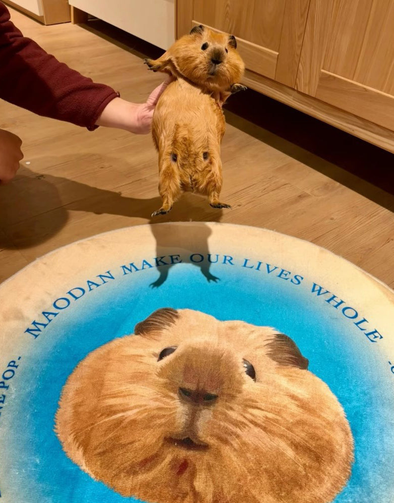 Custom Pet Photo Rug – Personalized Animal Carpet with Your Pet’s Image | Soft Flannel Mat with Optional Matching Pillow